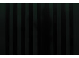 CEPRO GROEN-9 LAMELLEN 300X2MM - 26.29.02